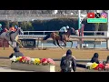 New York s Winter Racetrack Aqueduct Track Profile