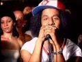 Tego Calderon Pa que se lo gozen colombiana