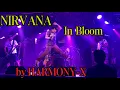 Download Lagu Nirvana - In Bloom cover van Harmony-X @ Local Music Fest, Servische Nacht, Kawasaki 8 juni 2025