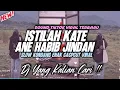 Download Lagu DJ ISTILAH KATE ISTRI ANE LEBIH MANIS | ANE HABIB JINDAN REMIX FULLBASS TIKTOK TERBARU 2025 