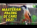 MASTERAN CENDET 2021 FULL VARIASI | MASTERAN CENDET TERBAIK UNTUK BURUNG KESAYANGAN