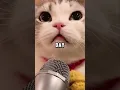 Download Lagu CAT WAS DREAMING OF WOLD DOMINATION #catlovers #animals #pawsn #cat #cute #funny #shorts  #catvideos
