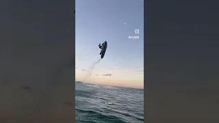 جديد تجمع اجمل اغاني الراي 2023 راي لهبالJadid Rai Mix Remix 2025 اغاني Tiktok 