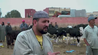 من سوق لسوق : ﺳﻮﻕ بلفاع