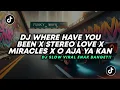 Download Lagu DJ TIKTOK TERBARU! WHERE HAVE YOU BEEN X STEREO LOVE X MIRACLES X O AJA YA KAN