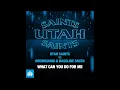 Utah Saints vs Drumsound & Bassline Smith - What Can You Do For Me (Campo Hariendes)