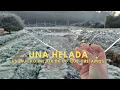 Download Lagu 🥶❤️ Los beneficios de una Helada | Nadie nos dijo que eran tan buenas