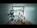 Sanfara - B3id [Official Music Video]