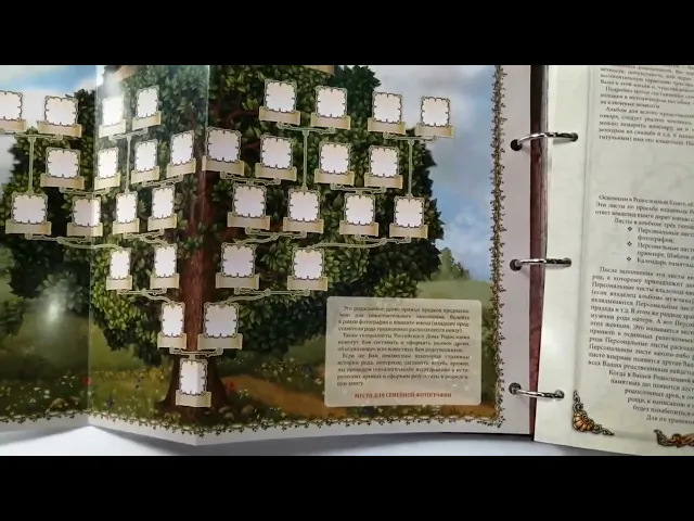 Видео-обзор Семейное древо альбом 'Классическая' бордовая, обложка балакрон