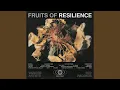 Download Lagu A Theory of Catabolic Collapse