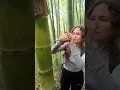 Download Lagu The GIRL's skills are AMAZING🔪🎋#camping #survival #bushcraft #outdoors #lifehack