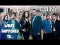 Through The Years With The Cast Of CSI NY What Happened To