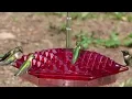 Sweety Hummingbird Feeder feeder