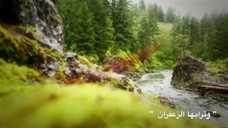 ما أجمل الجنة 