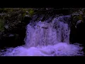 Download Lagu Peaceful River Flowing Sound | Gentle River, Relaxing Nature Sounds | 1 Hour of River Flowing Sound