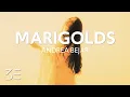 Download Lagu Andrea Bejar - Marigolds (Lyrics)
