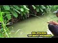 Lagu Dibawah jalan ini,Ada sungai yang masih banyak ikan nya 