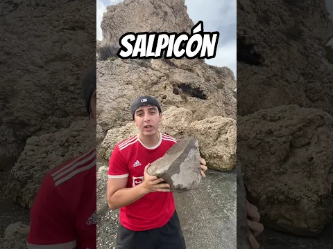 Piedra De 20 Kilos (Salpicón)