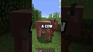 What If You Shear A Pig In Minecraft 