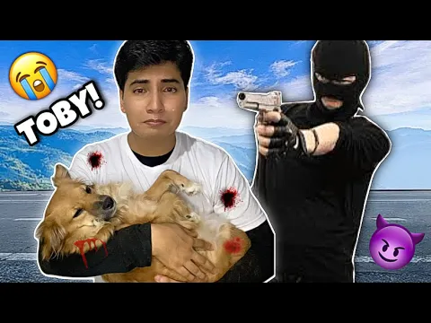 LE DISPARARON A MI PERRITO ??