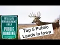 Top 5 Iowa Public Land Deer Hunting