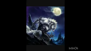 Alpha Wolf Maroon 5 Animals