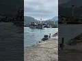 Download Lagu km SAGITA berangkat mencari ikan teluk prigi Trenggalek JawaTimur