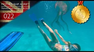 Swimming with Jelly Fish, Sailing Malta and Discovering WW2 Family War Heroes. Ep. 22