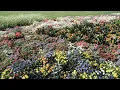 Paganini : Cantabile in D Major, Op. 17 (arr.  for Violin and Guitar)