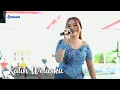 Download Lagu KALIH WELASKU - Dita Merlin - KMB GEDRUG SRAGEN