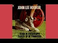 John Lee Hooker feat. Van Morrison - Going Down