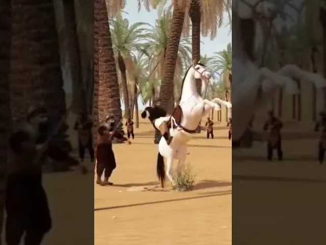 ⁣#الامام_العباس