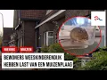 Download Lagu Muizen massaal verhuisd naar Weeskinderendijk: 'Ze lopen in de keuken'