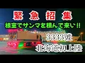 Download Lagu [Hokkaido Fresh Fish Delivery] I've been fired from my job between Kanto and Kansai after a year ...