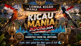 Download Kicau Mania Remix Chill EDM 🐦 Sekali Dengar Langsung Nyangkut! (Ndarboy Genk x BoyCord) MP3