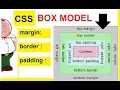 css box model css margin padding border