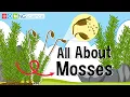 All About Mosses