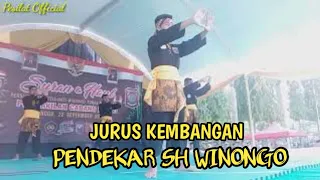 Download Kelincahan Pendekar Setia Hati Winongo//Suran Dan Haul Pshw cabang ngawi MP3