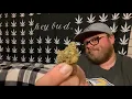 Stardawg Review