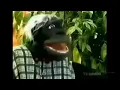 Download Lagu Quase 2 horas de Garras - Nas Garras da Patrulha #2
