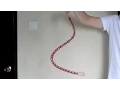Standing Wave on Free String -