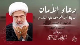 دعاء الأمان المرجع المجدد الشيخ فاضل المالكي Duea Al Iimam Ayatollah Sheikh Fadel Al Maliki 