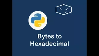 bytes to hexadecimal in python