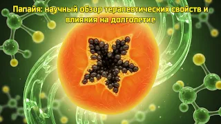 Папайя: научный обзор терапевтических свойств и влияния на долголетие