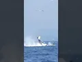 Orca Launches Seal 100 feet
