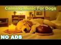Download Lagu 12 Hours of Healing Dog Music 🐶 Soothing Music for Deep Relaxation 🐕 Dog Calming Music - Deep Sleep