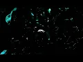 Fred again.. & Skrillex - Baby again.. (Mathame Remix)
