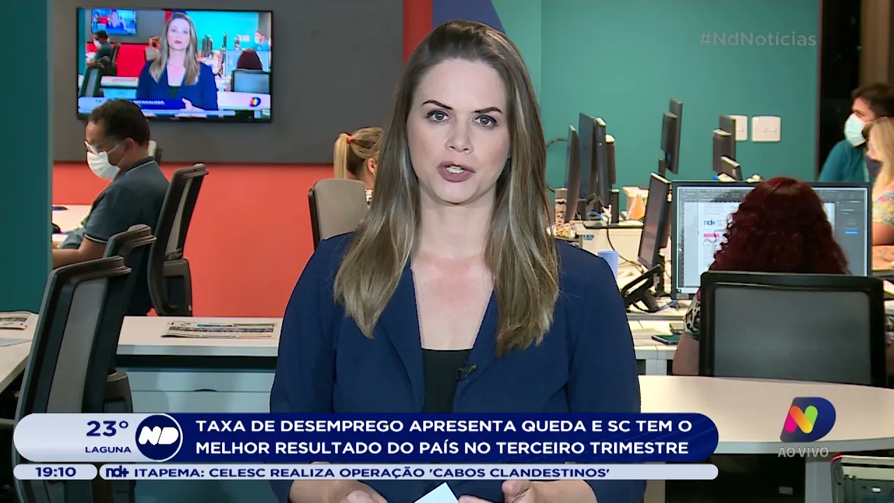 Taxa de desemprego apresenta queda e SC tem o melhor resultado do país no terceiro trimestre