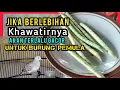 Download Lagu Buktikan Manfaatnya dan Lakukan Secara Runtin ❗4 Hari sekali @mangoendjoyochannel8053