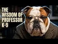 Wisdom of Professor K-9